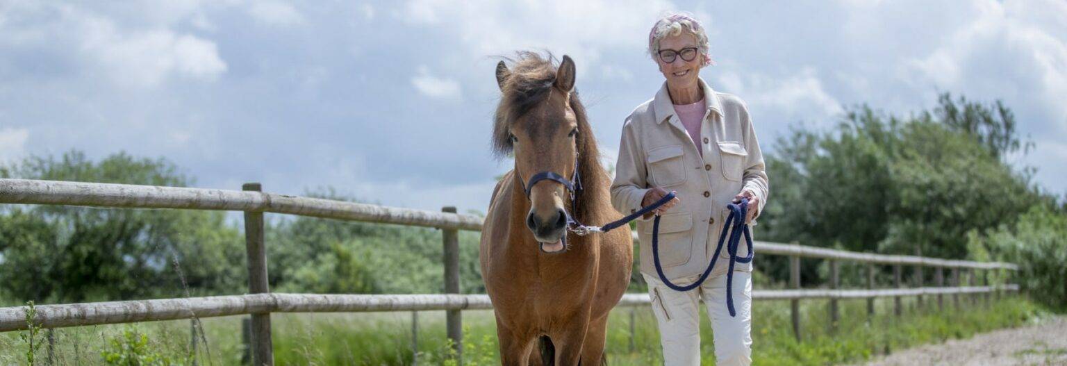Supervision er feed-back på egen udvikling, heste-træning og kontakt imellem hest og instruktør, terapeut eller personlig hjælper.